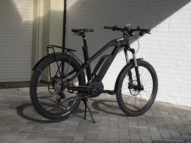 thule proride ebike